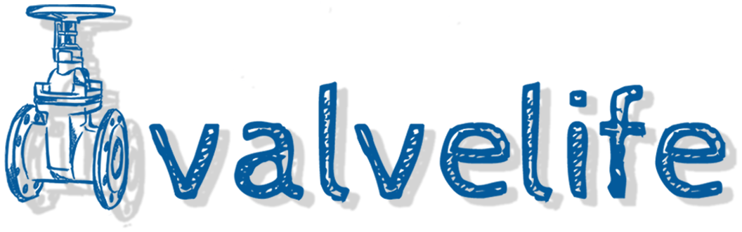 Valve Life